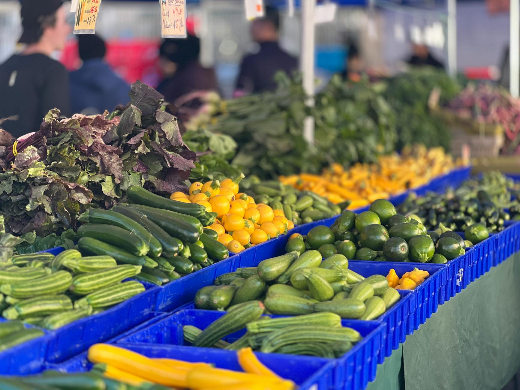 Fresh produce at an Adelaide food market, highlighting the culinary experiences among things to do in Adelaide