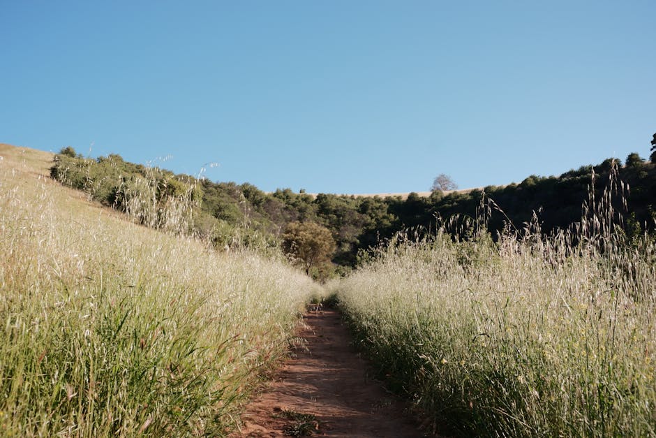Best time to visit Adelaide hiking trail with scenic nature views