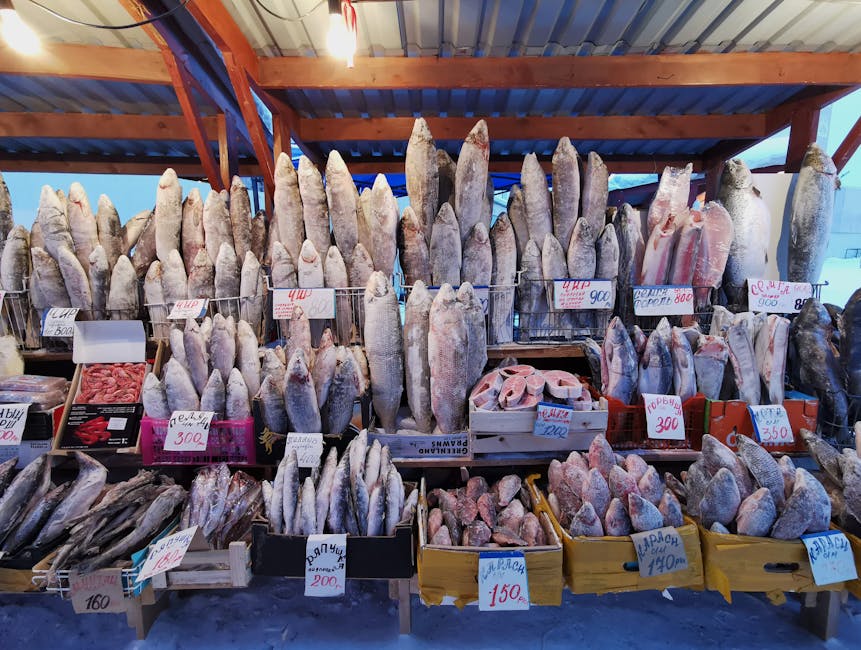 Fresh seafood display at Adelaide Central Market fish stall