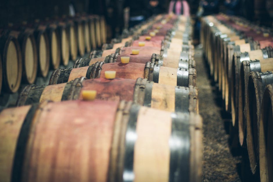 Barossa Valley wineries wine cellar with oak barrels ageing
