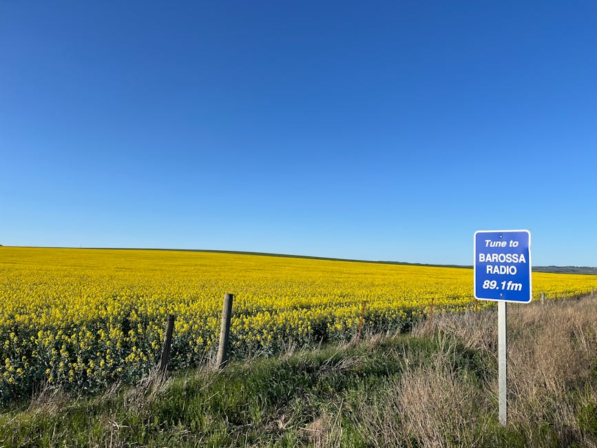 Barossa Valley Day Trip from Adelaide: Complete 2026 Planning Guide