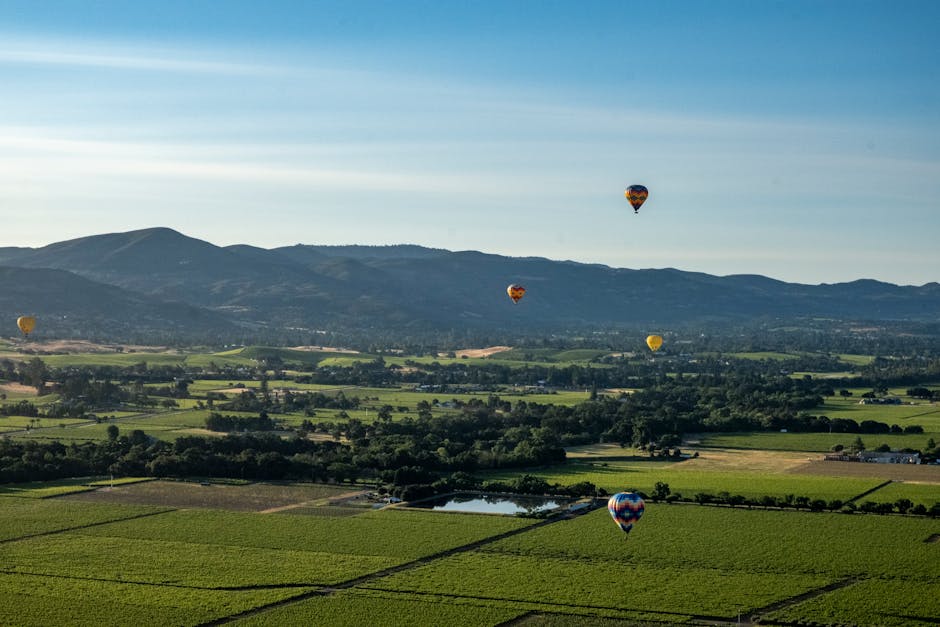 Jacob's Creek visitor centre Barossa Valley with vineyard views