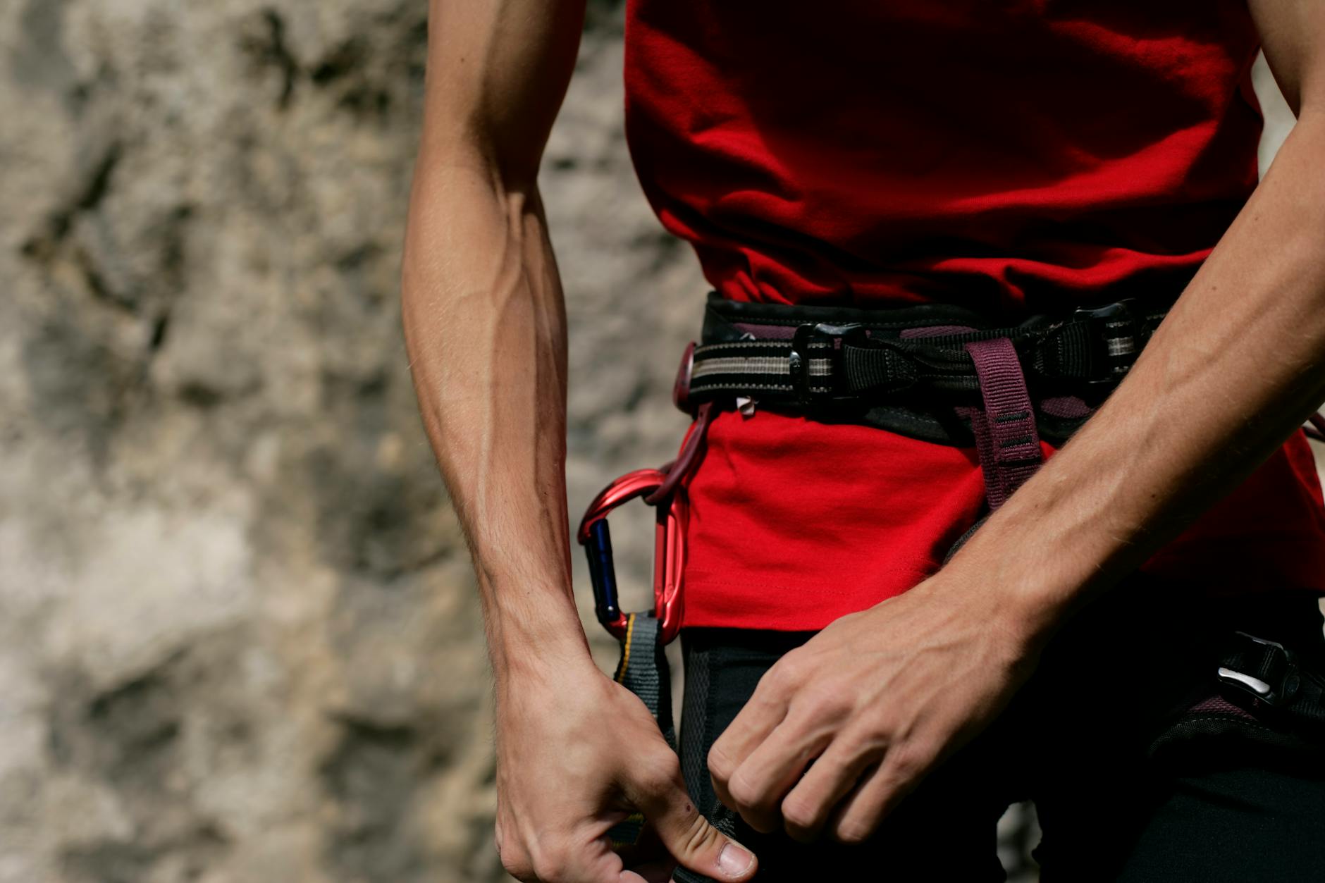 Adelaide Oval RoofClimb harness