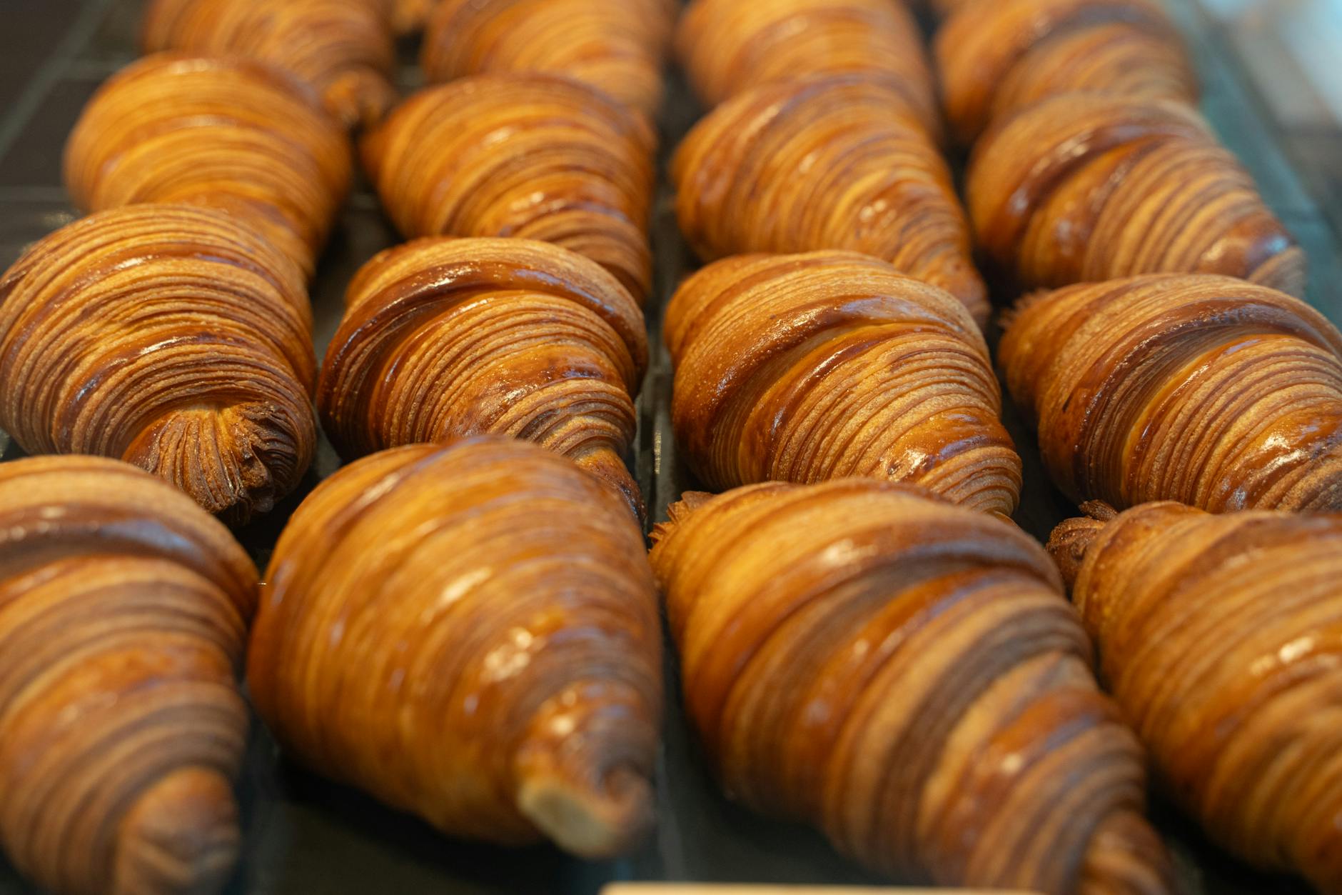 Adelaide cafe pastry bakery
