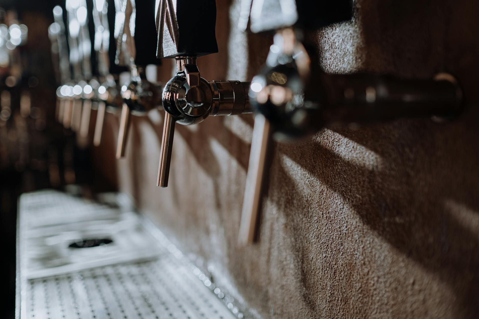 Adelaide craft beer tap bar