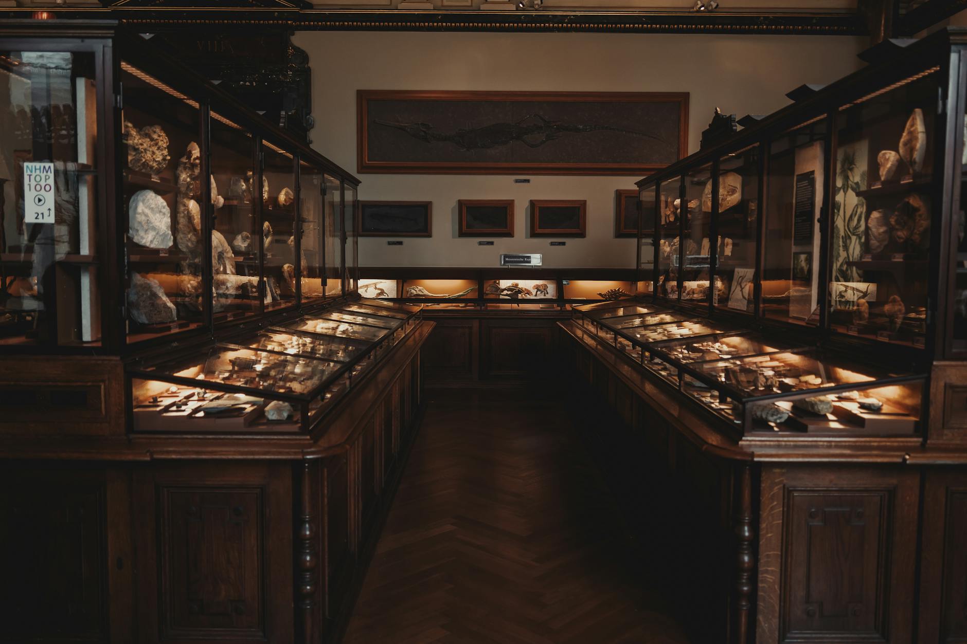 Adelaide museum history exhibit