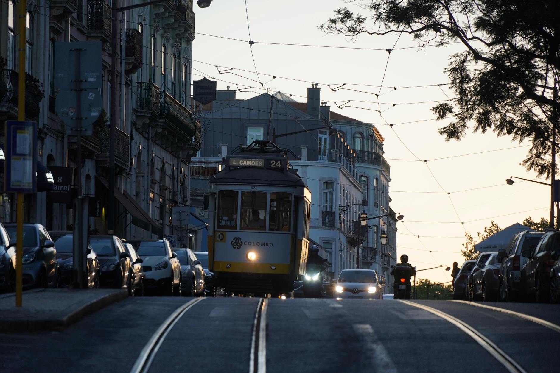 Adelaide Public Transport Guide: Buses, Trams & Trains Explained (2026)