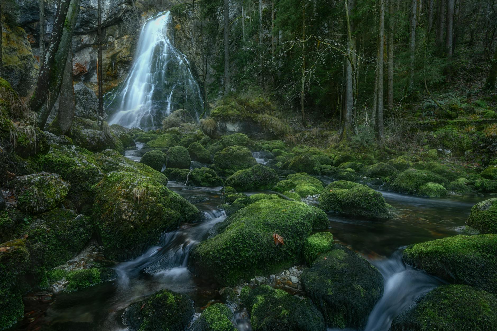 Waterfall Gully waterfall creek