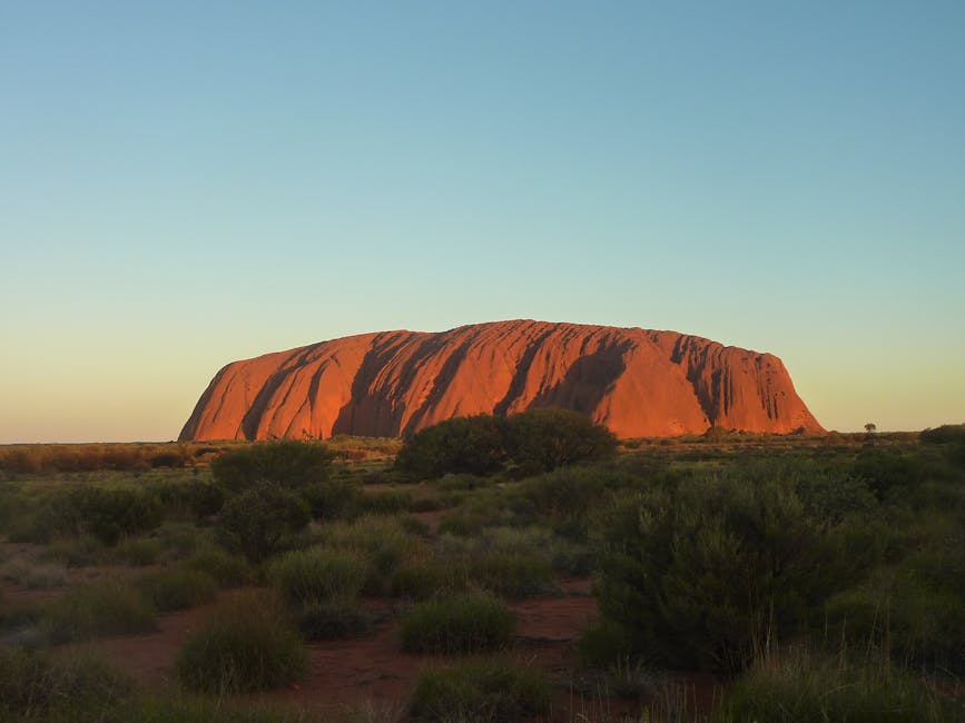 South Australian Museum North Terrace housing world largest Aboriginal artefact collection