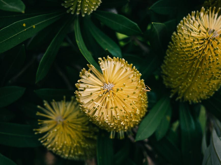 Native Australian bush food ingredients used in Aboriginal cultural experiences