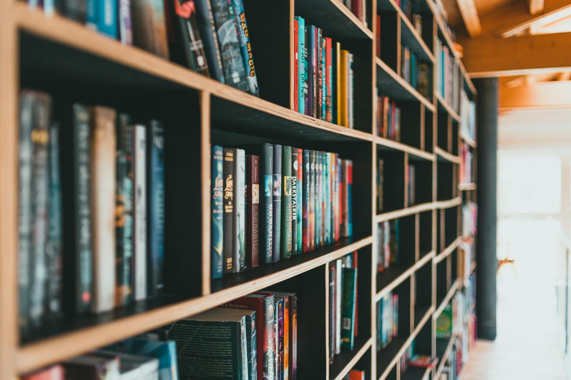 Cosy bookshop shelves stacked with books in Adelaide