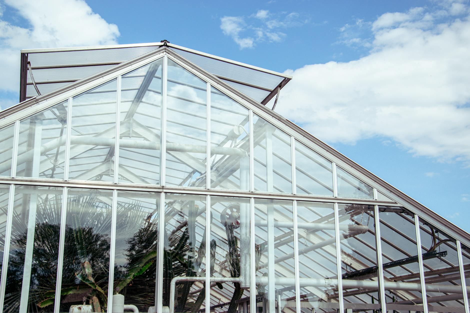 Glasshouse at the Adelaide Botanic Garden, which is free to enter