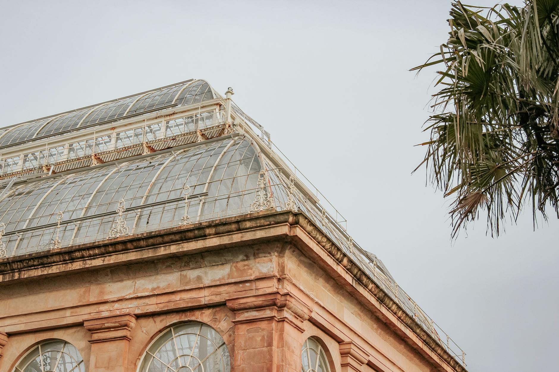 Glasshouse and palms in a botanic garden like the Adelaide Botanic Garden