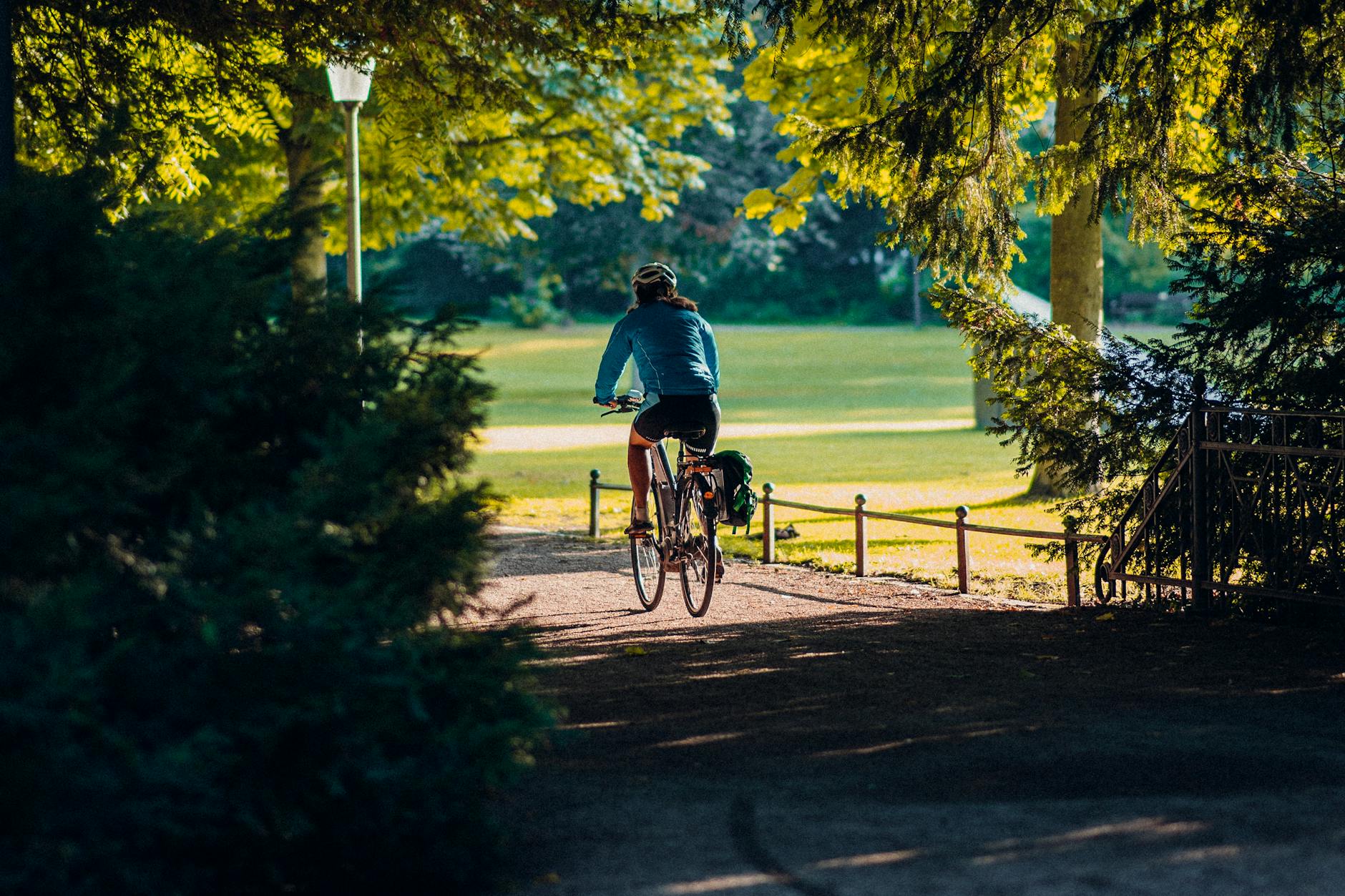 A cyclist on a sealed off-road bike path lined with trees, typical of Adelaide's linear parks