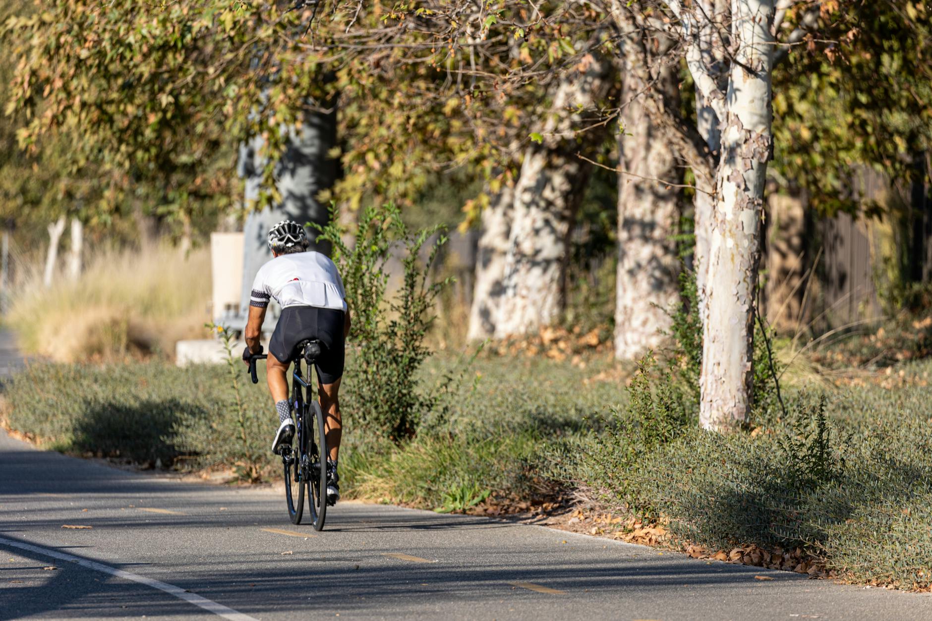 Adelaide Cycling Guide: Best Bike Paths, Trails & Hire