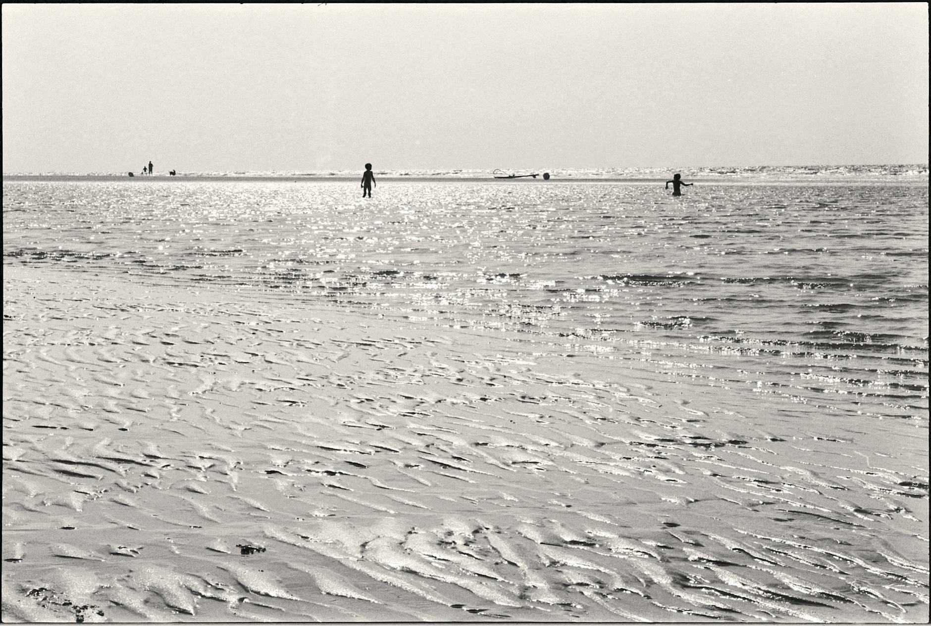 Calm shallow water at an Adelaide family beach, ideal for children