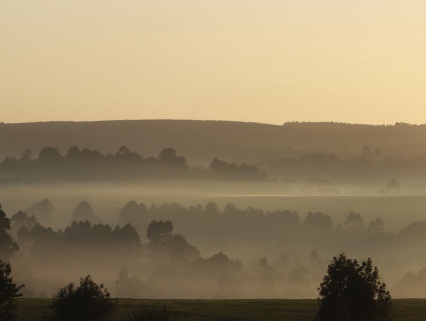 Adelaide Hills seasonal landscape showcasing the natural beauty surrounding accommodation options