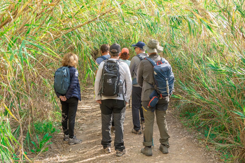 Adelaide Hills walking trails and nearby attractions accessible from Hills accommodation