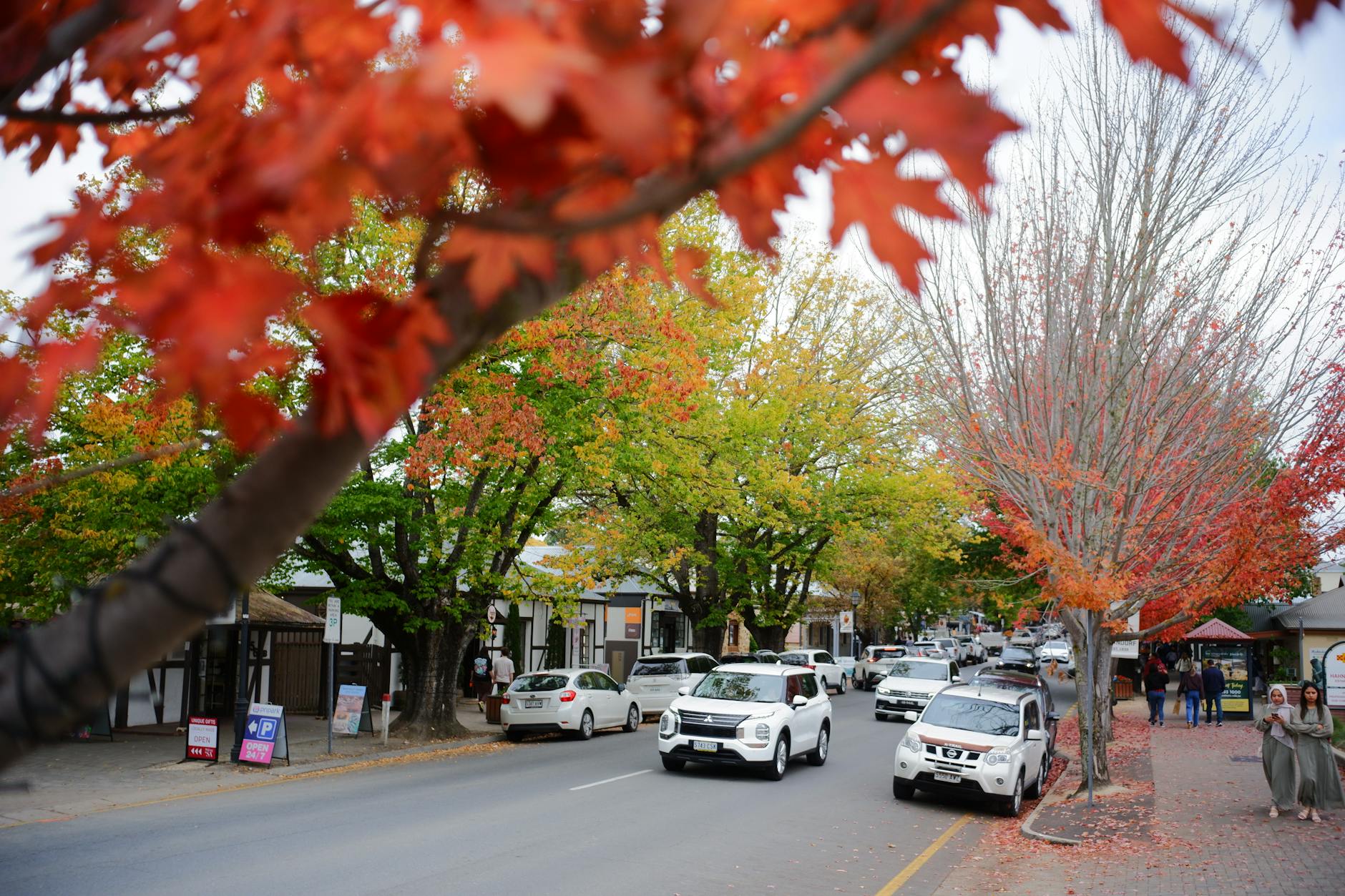 Autumn trees turning red and gold along an Adelaide Hills street