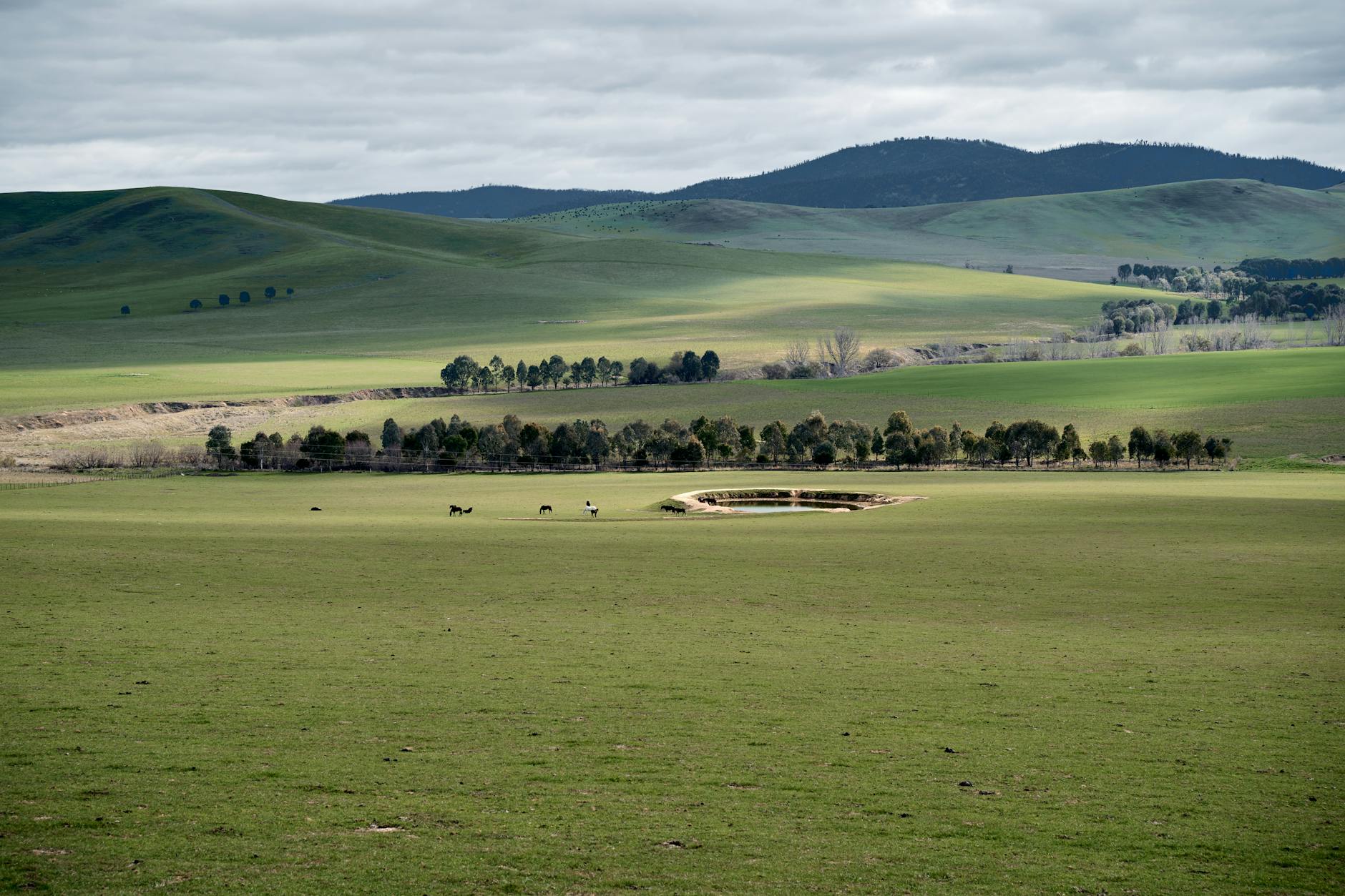 Adelaide Hills Day Trip: Villages, Wine & Scenic Drives
