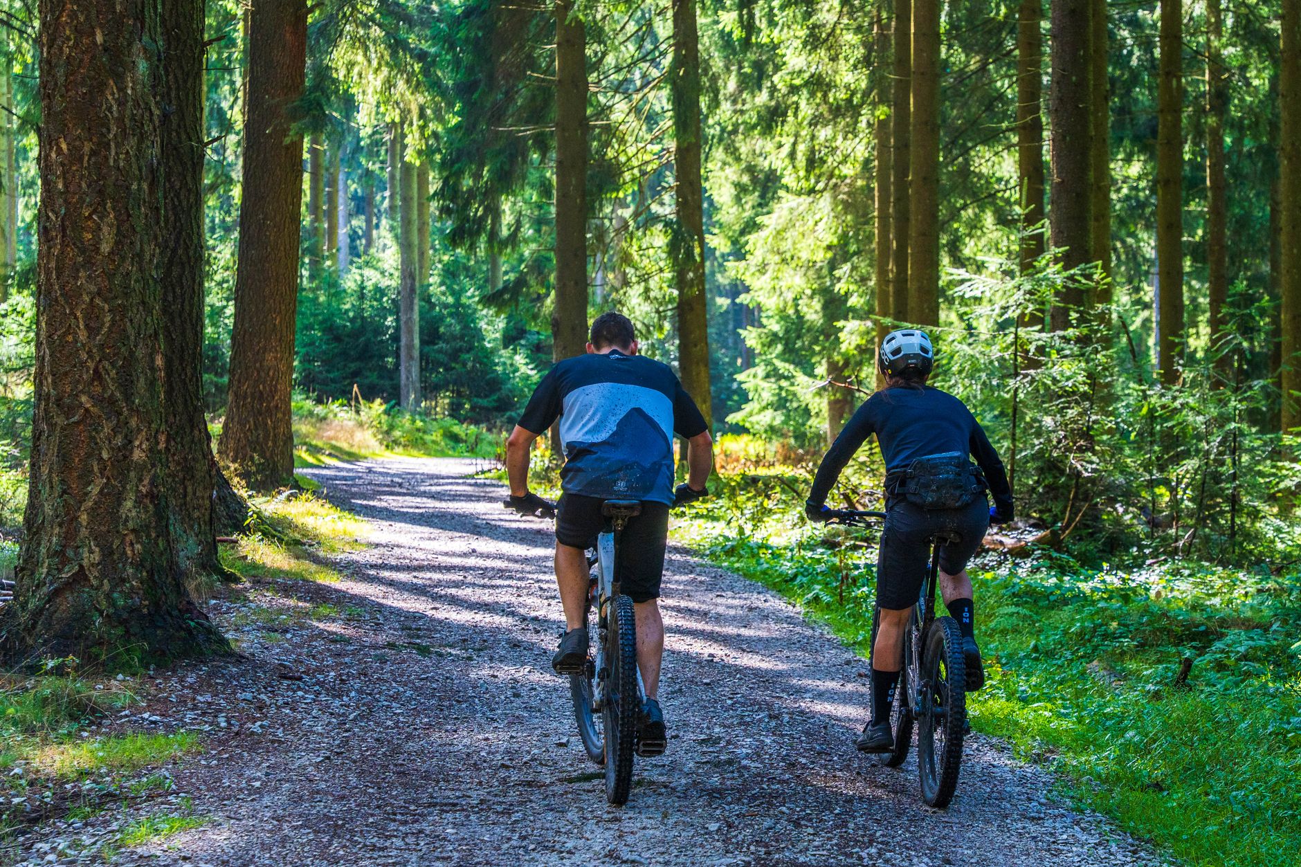 A mountain biker on a forest trail in hills near Adelaide