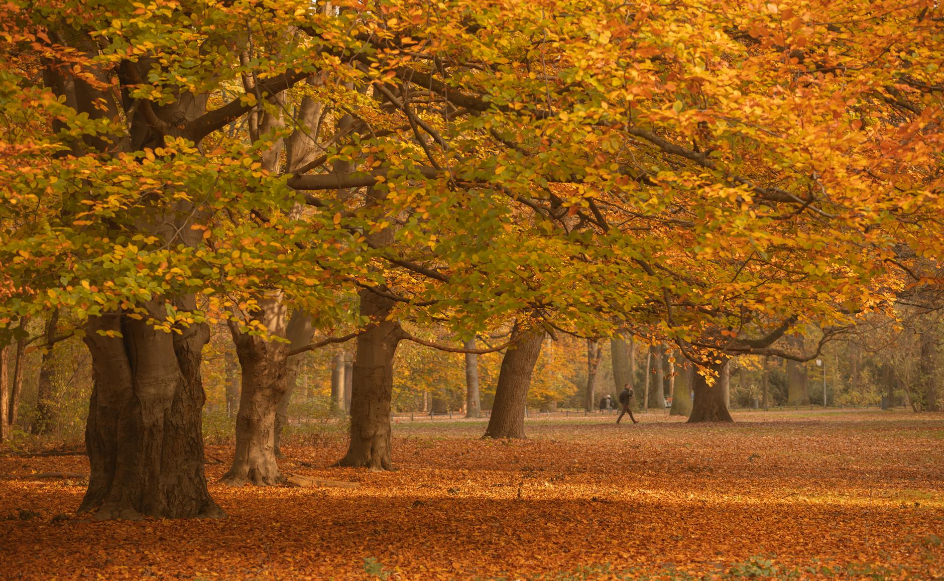 Adelaide in Autumn: Mad March, Mild Weather & What to Do