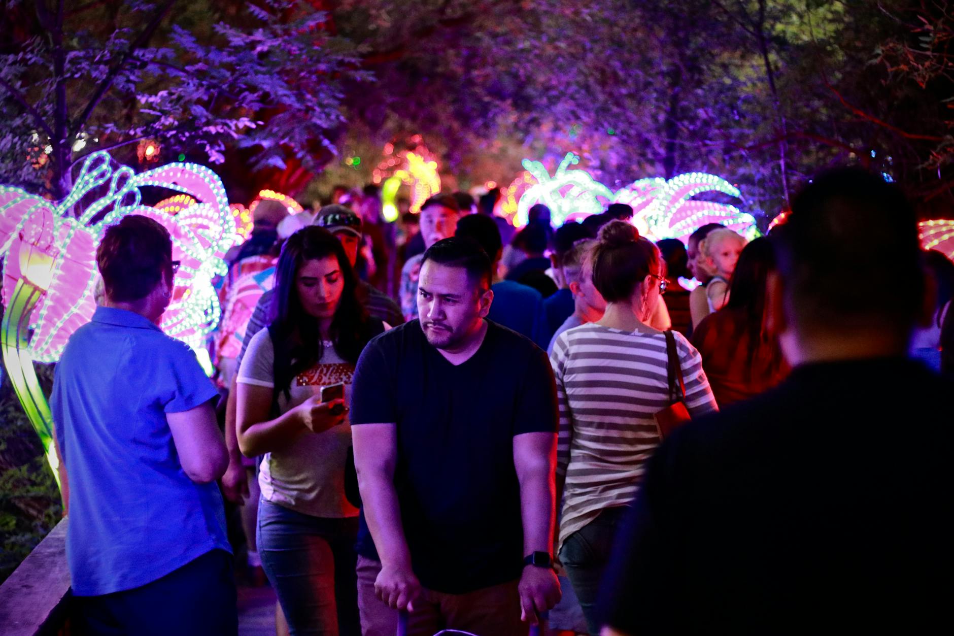 Families walking past illuminated light installations at a winter festival at night
