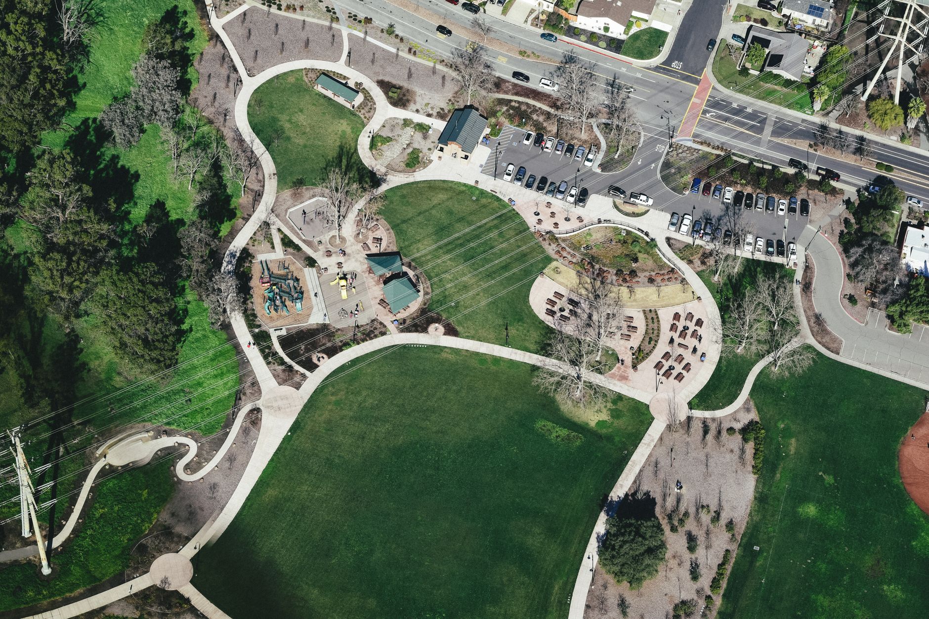 Tree-lined lawns and a path through the Adelaide Park Lands green space