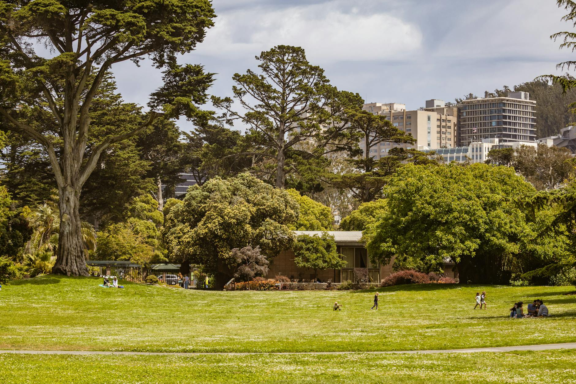 Adelaide Parks & Gardens: A Local’s Guide to the Green Spaces