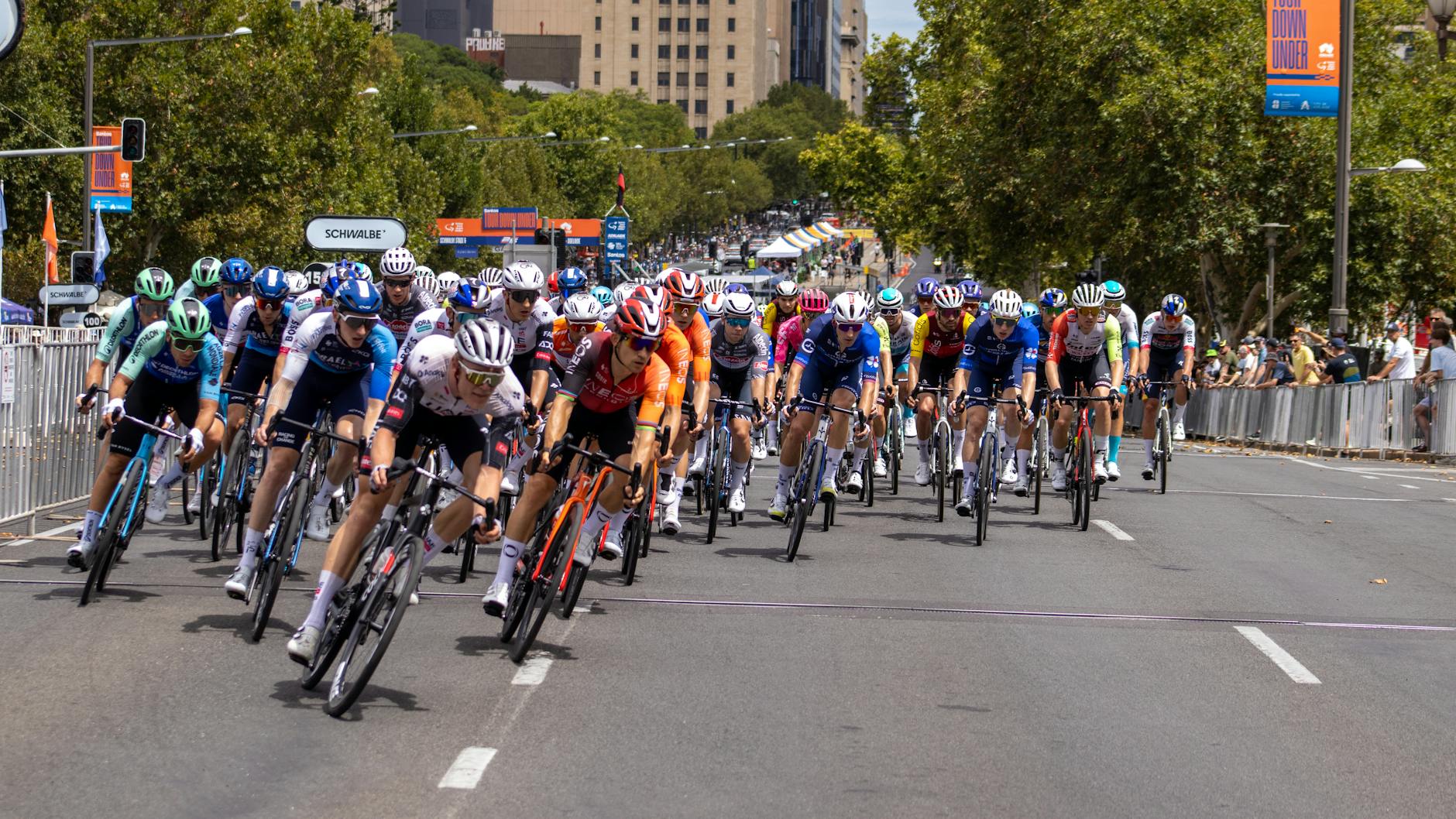 Adelaide Travel Tips: 20 Things to Know Before You Visit