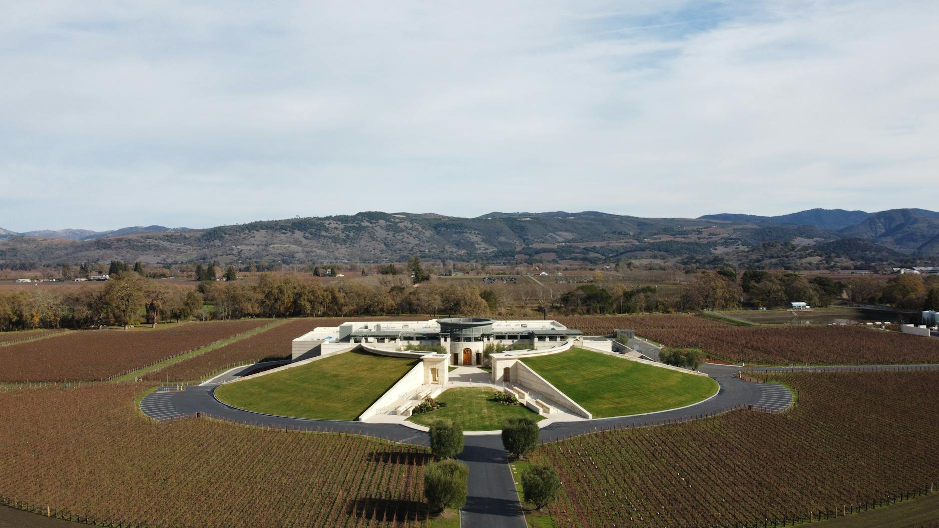 A luxury vineyard lodge overlooking wine-country vineyards