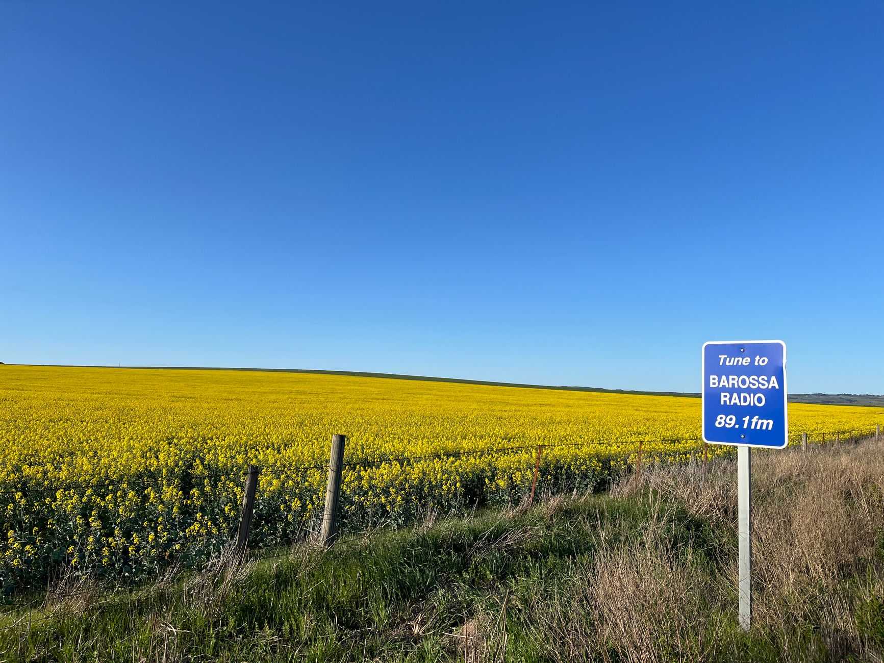 A Barossa Valley town main street, an easy base for wine touring