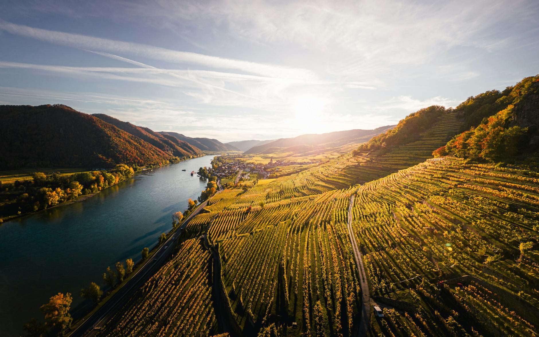 Clare Valley Wine Guide: Riesling Trail & Best Cellar Doors 2026