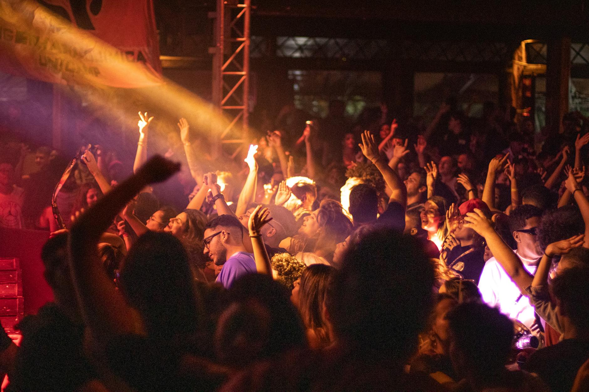 Festival crowd enjoying world music performance at outdoor event