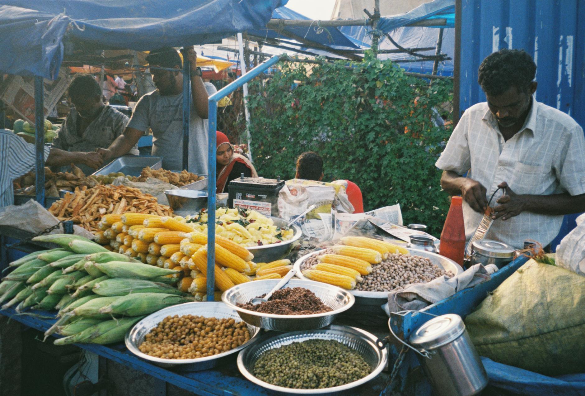 Global Village food and market stalls at WOMADelaide world music festival