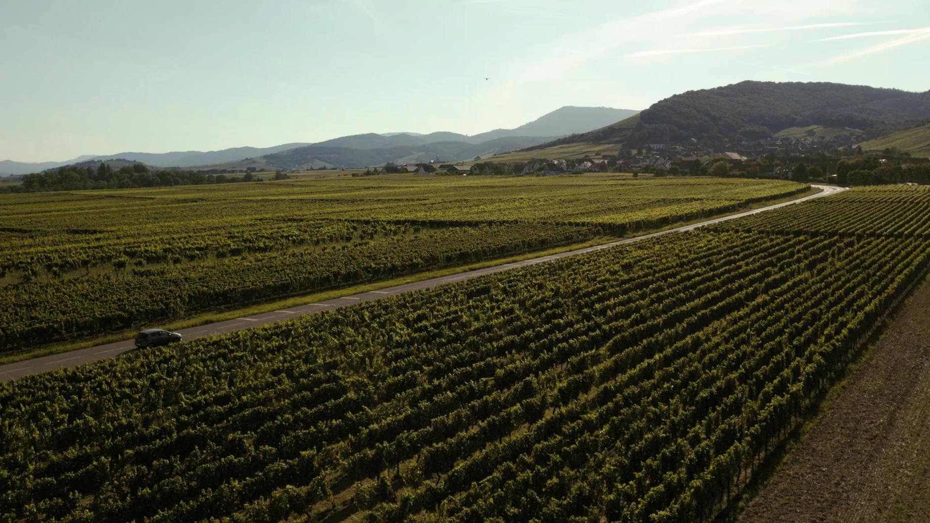 Scenic wine region road through vineyards accessible by rental car from Adelaide