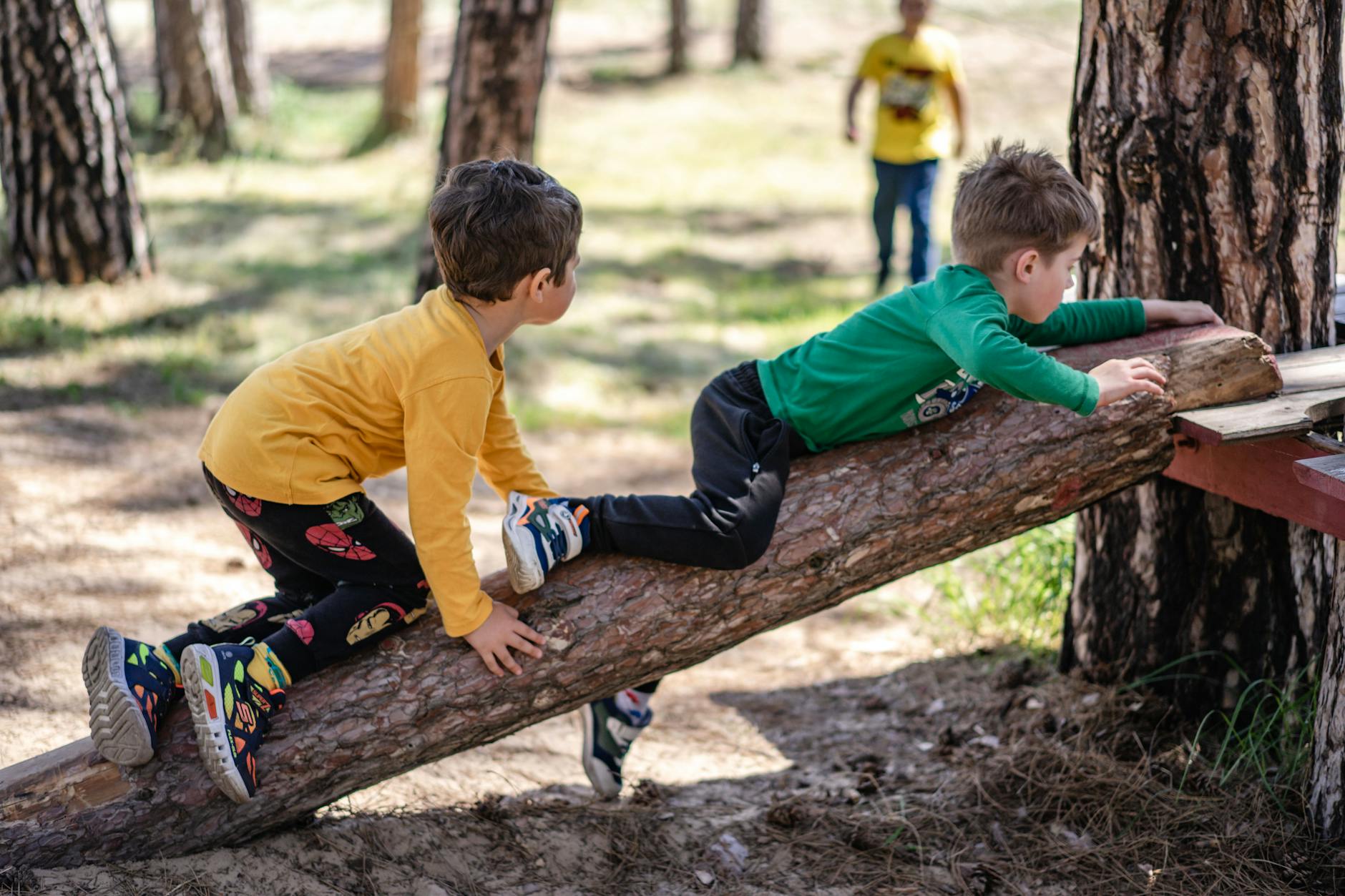 Nature play playground with logs rocks and natural materials for children