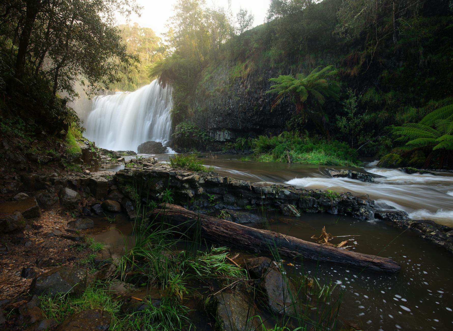 Morialta Conservation Park: Waterfalls, Trails & Wildlife
