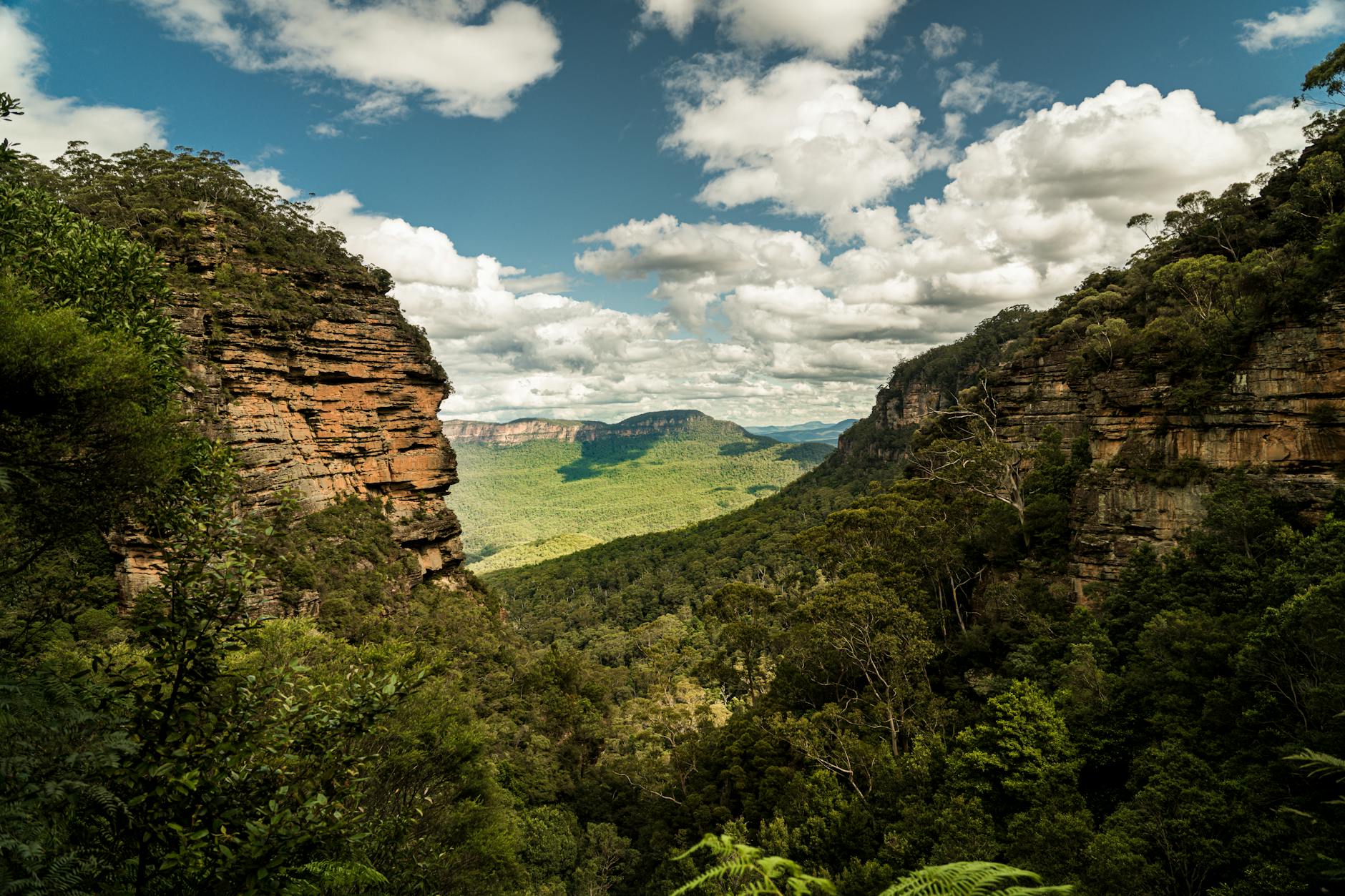 Rugged quartzite cliffs and a deep valley seen from a ridge trail at Morialta