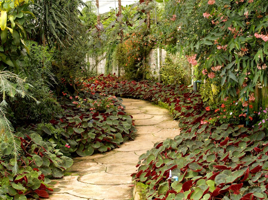Adelaide Botanic Gardens pathway near North Adelaide