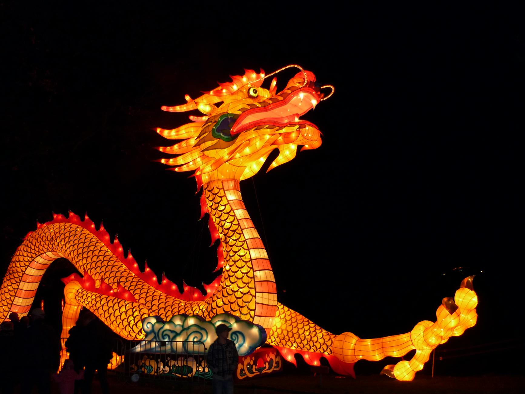 A giant illuminated dragon lantern, the kind that anchors the OzAsia Festival Moon Lantern Trail
