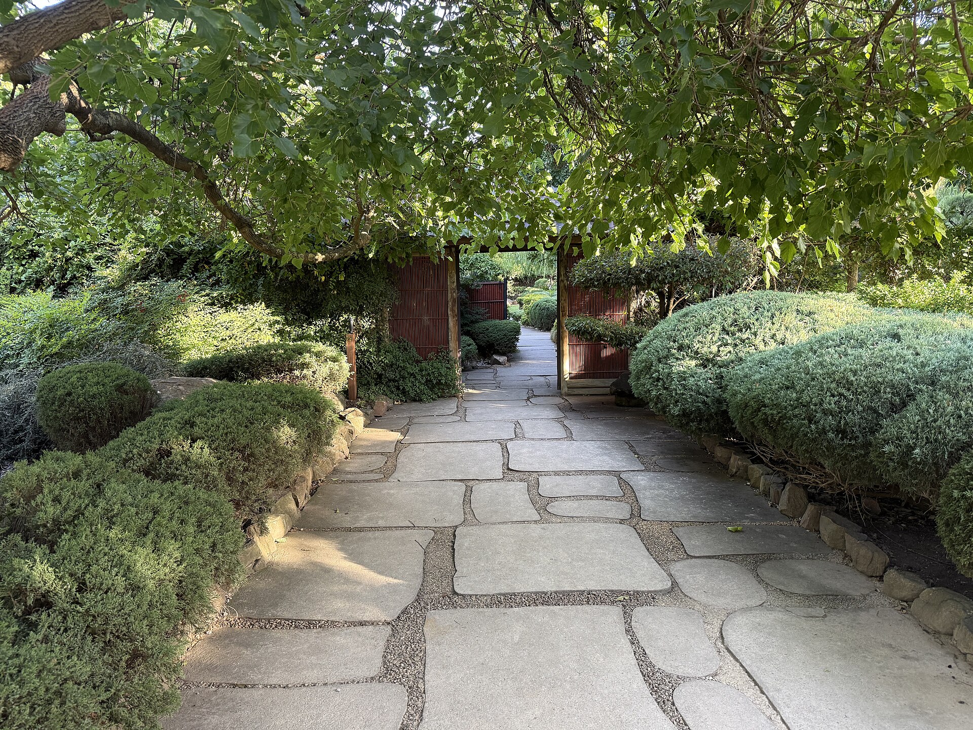 A stone path leading to a timber gate through clipped shrubs in the Adelaide Himeji Garden