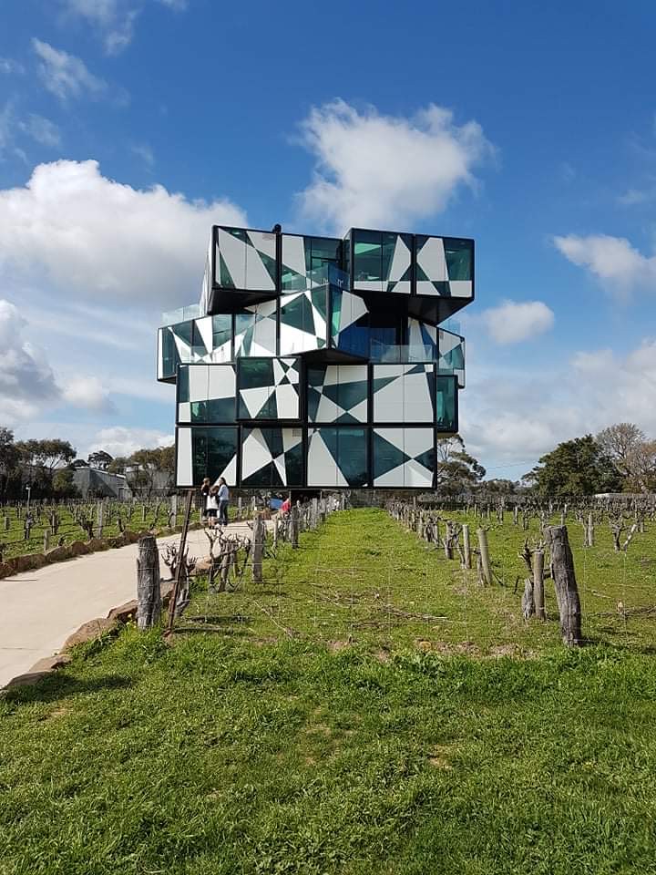 The d'Arenberg Cube, a five-storey building of offset glass cubes with black and white geometric panels, rising above rows of vines
