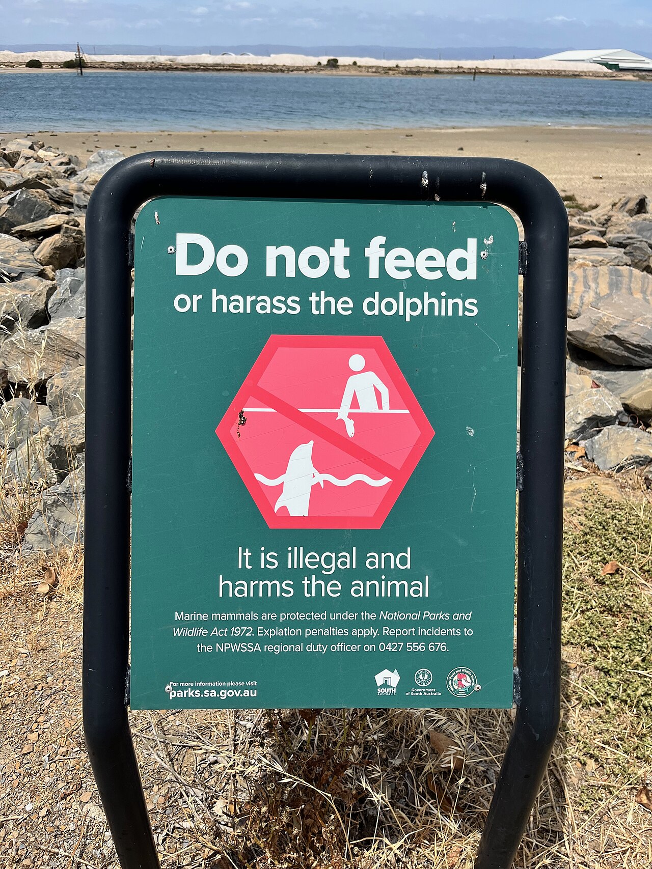 A green sign reading Do not feed or harass the dolphins, it is illegal and harms the animal, beside a rocky shoreline