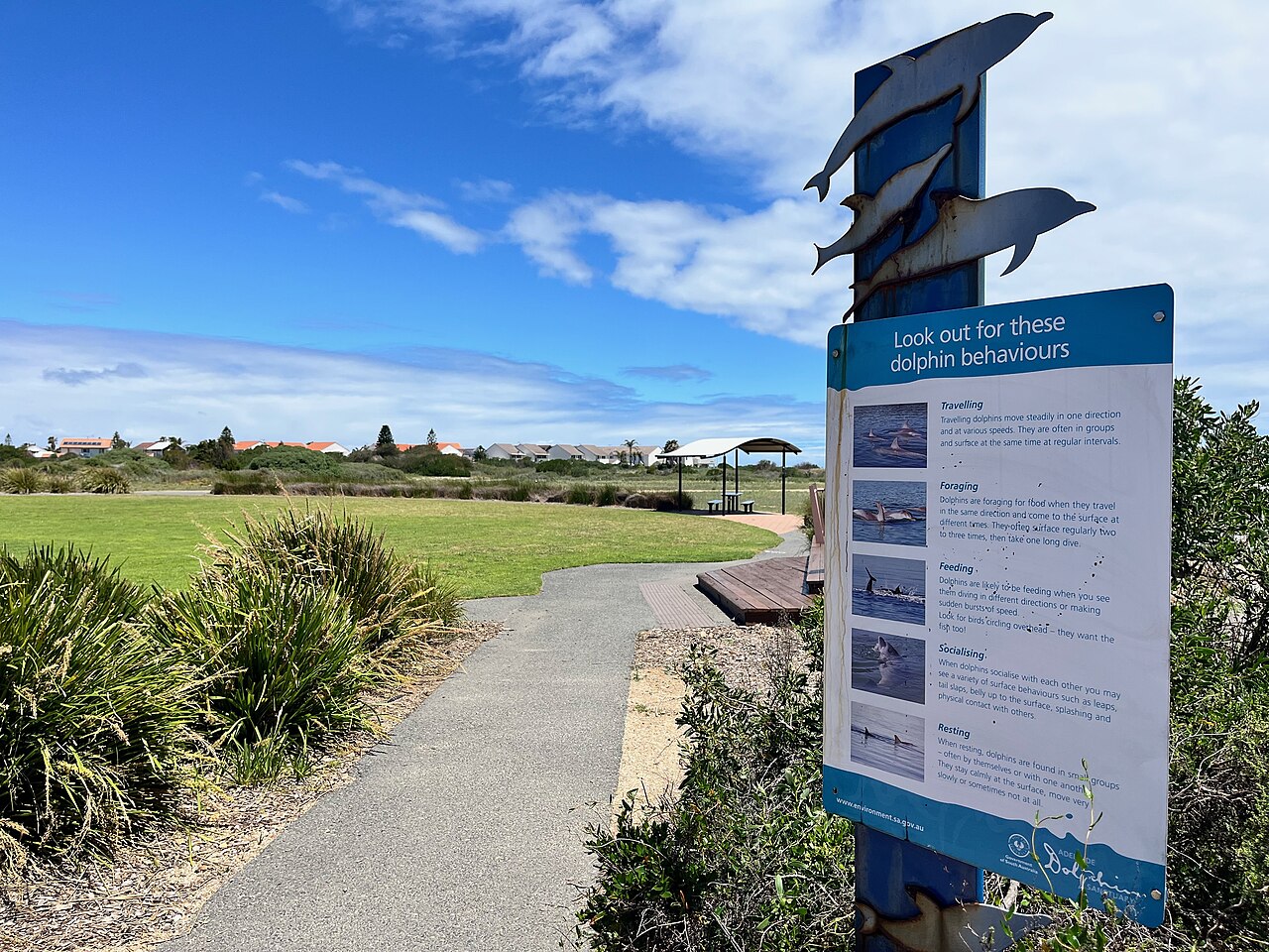 An information sign with metal dolphin cut-outs on top explaining dolphin behaviours, beside a coastal path at Outer Harbor