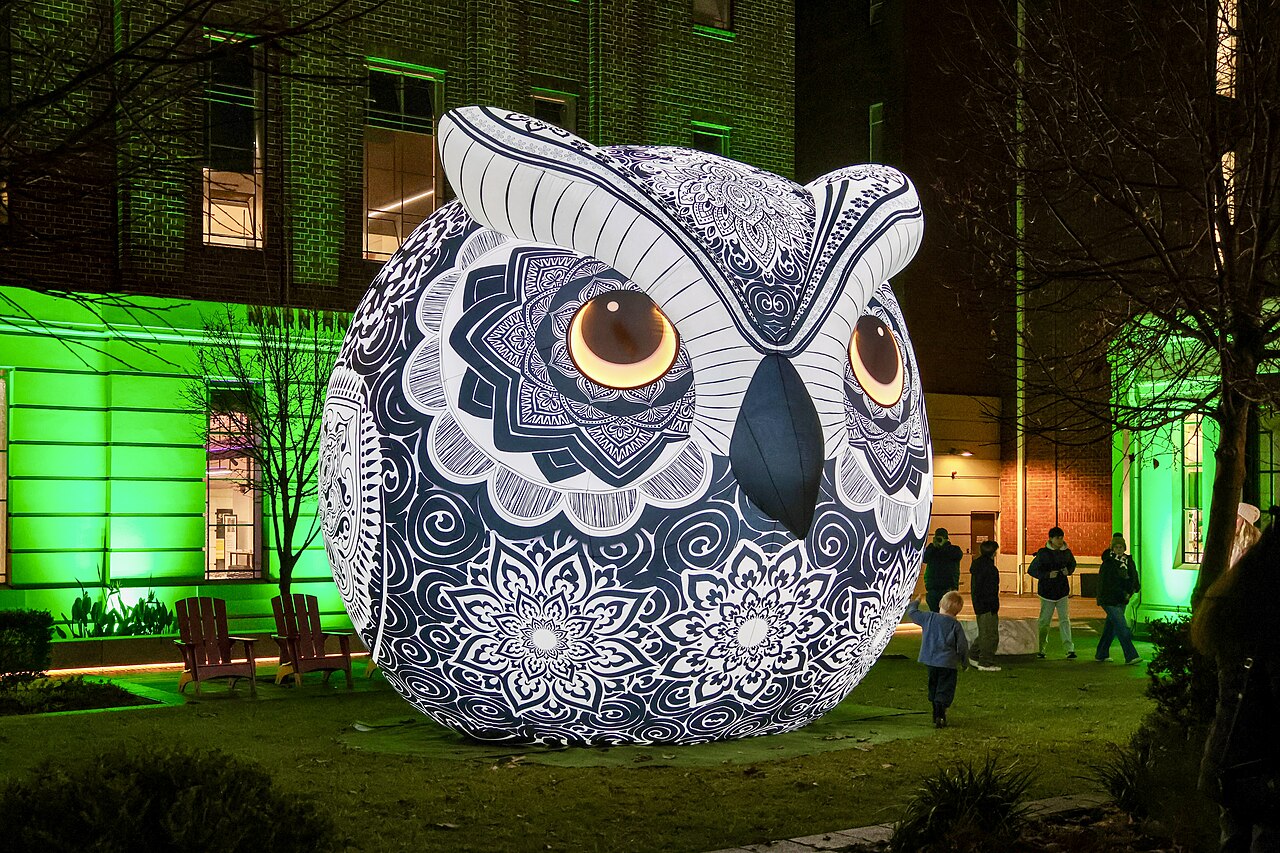 A giant inflatable owl sculpture covered in intricate black-and-white patterns on a lawn at Lot Fourteen, with buildings lit green behind