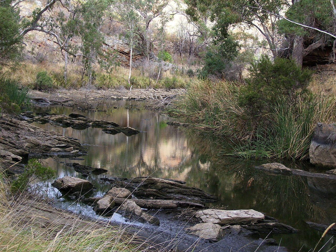 The Onkaparinga River running between rocky banks and reeds in the gorge, with gum trees on the slopes above