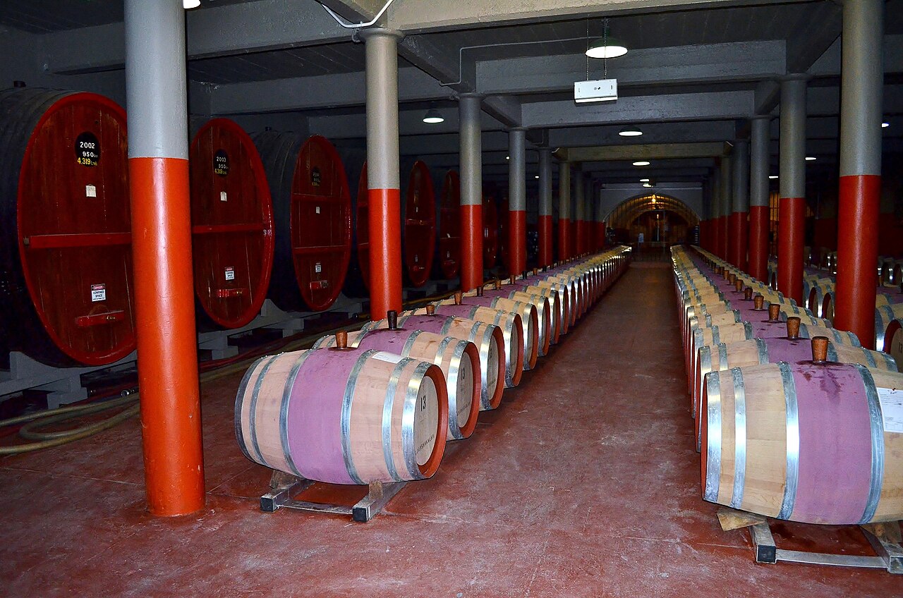 A long underground cellar at Magill Estate with rows of oak barrels on racks between red-and-grey columns and giant oval casks along the walls