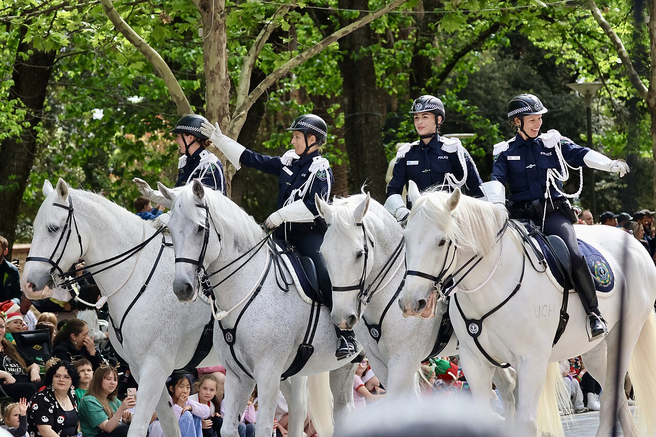 Four SA Police mounted officers on white horses riding in the Christmas Pageant and waving to the crowd