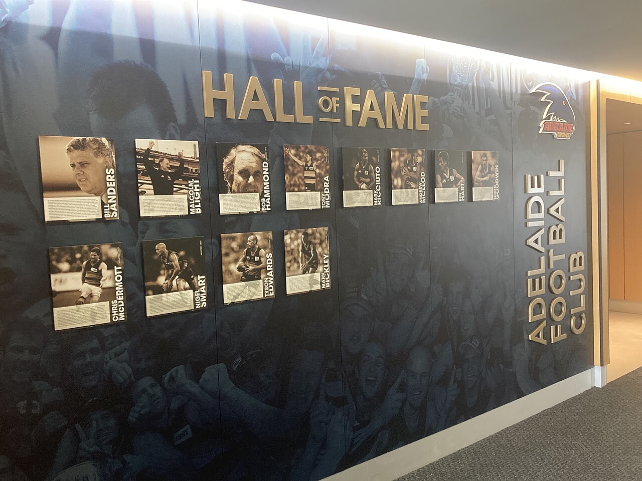 The Adelaide Crows Hall of Fame wall at Adelaide Oval, a dark wall lined with framed black-and-white portraits of club greats under gold lettering